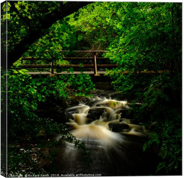 Slow exposure of cascade on river Leasgeary Canvas Print by Richard Smith