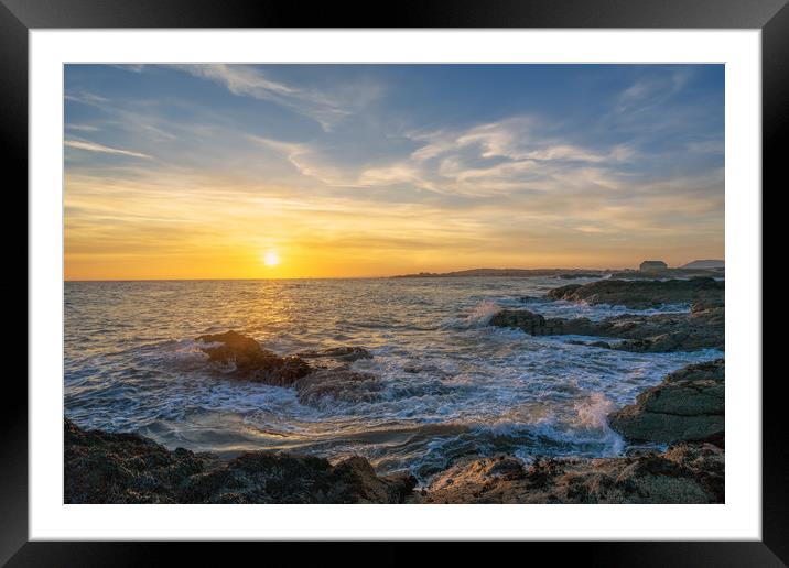 Golden hour from Elie Beach Framed Mounted Print by Miles Gray