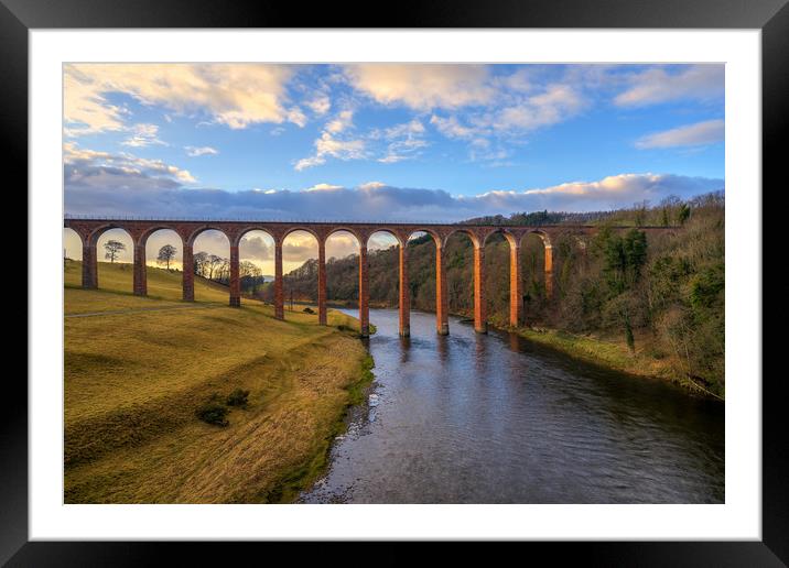 Golden Hour over the Leaderfoot Viaduct Framed Mounted Print by Miles Gray