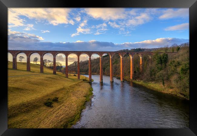 Golden Hour over the Leaderfoot Viaduct Framed Print by Miles Gray