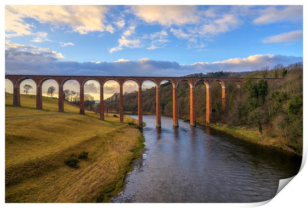 Golden Hour over the Leaderfoot Viaduct Print by Miles Gray