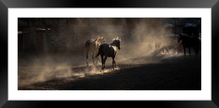 Horses returning home Framed Mounted Print by Maria 