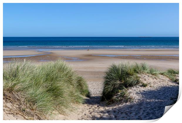 Sand Dunes at Bamburgh Print by Oxon Images