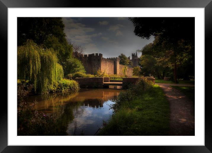 Cardiff castle and Bute Park Framed Mounted Print by Leighton Collins