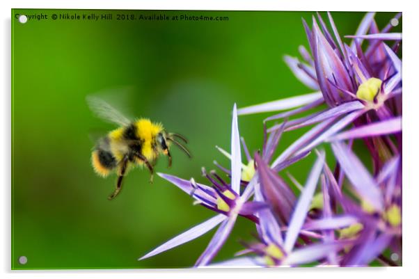 Beauty and the Bee Acrylic by NKH10 Photography