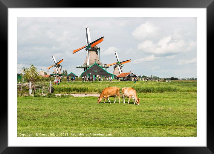 Typical dutch landscape with windmills and cows Framed Mounted Print by Chris Willemsen