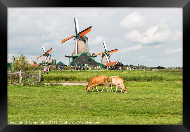 Typical dutch landscape with windmills and cows Framed Print by Chris Willemsen
