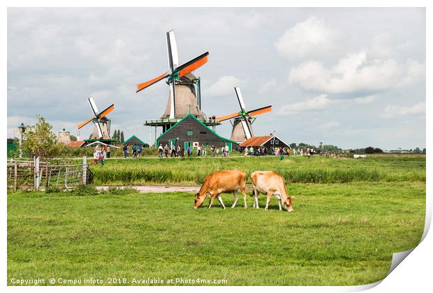Typical dutch landscape with windmills and cows Print by Chris Willemsen