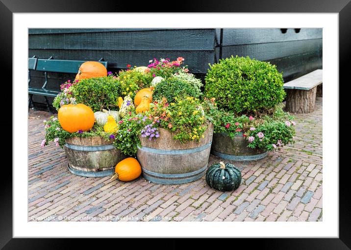 wooden pots with plants and flowers Framed Mounted Print by Chris Willemsen