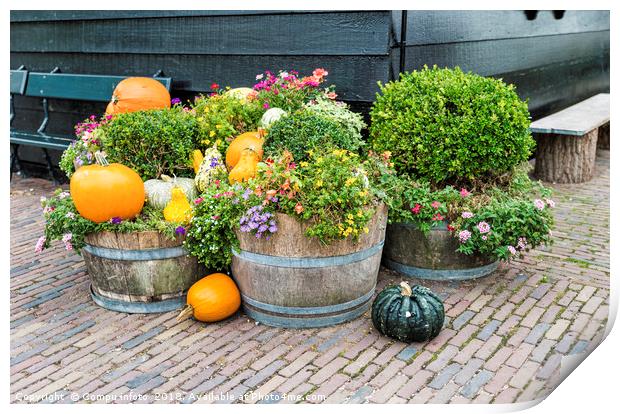 wooden pots with plants and flowers Print by Chris Willemsen
