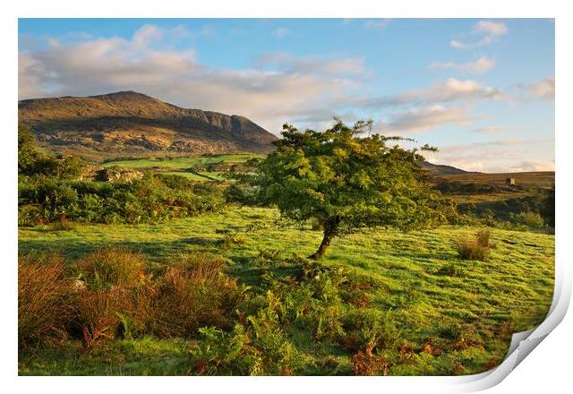 Moel Siabod Print by Rory Trappe