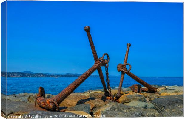 Pair of anchors St Tropez Canvas Print by Rosaline Napier