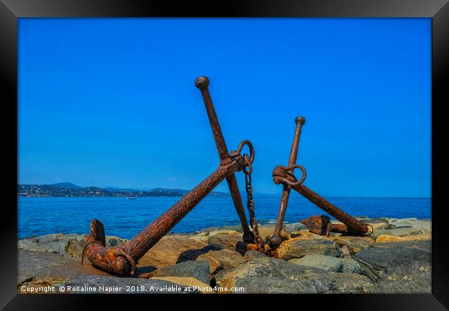 Pair of anchors St Tropez Framed Print by Rosaline Napier
