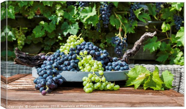 decoration of bunches blue and white grapes  Canvas Print by Chris Willemsen