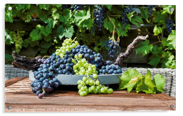 decoration of bunches blue and white grapes  Acrylic by Chris Willemsen