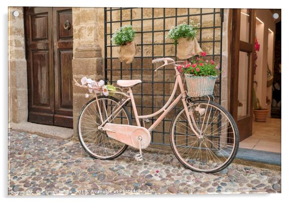 pink painted ladies bike with flowers  Acrylic by Chris Willemsen
