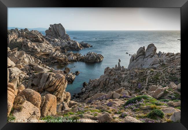 capo testa teresa di gallura , with rocks and blue Framed Print by Chris Willemsen