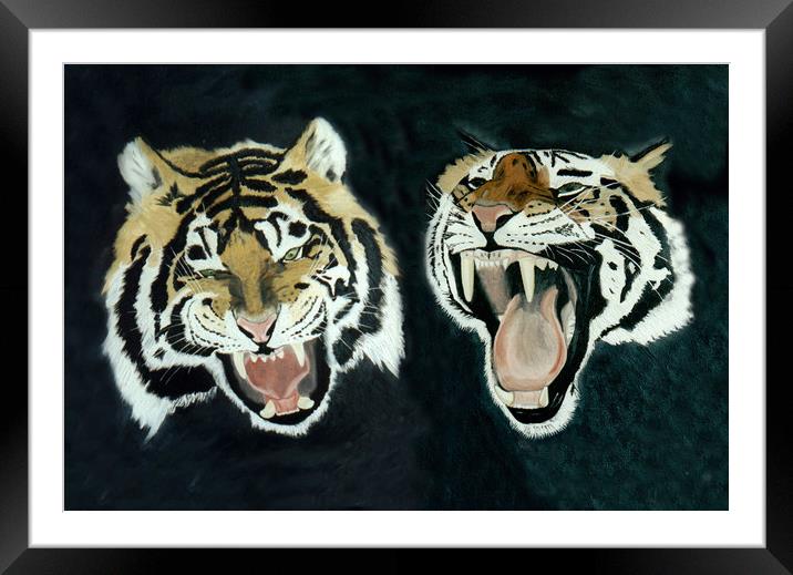 TWO SIBERIAN TIGERS Framed Mounted Print by Dave Hellyer
