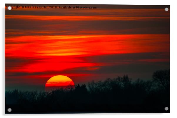 Red Sunset Acrylic by NKH10 Photography