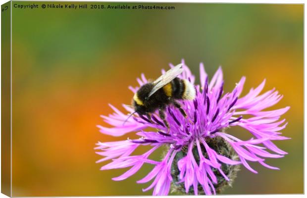 Beauty and the Bee I Canvas Print by NKH10 Photography