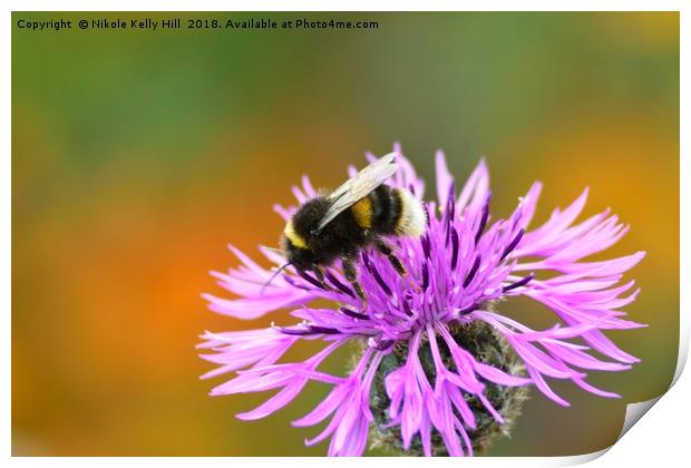 Beauty and the Bee I Print by NKH10 Photography