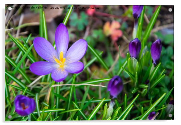 Beautiful Spring flowers Acrylic by NKH10 Photography
