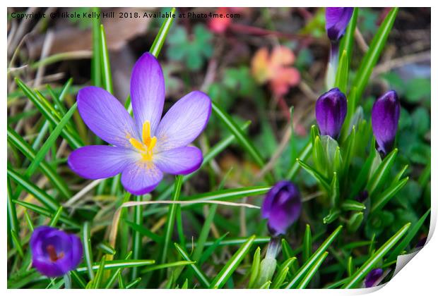 Beautiful Spring flowers Print by NKH10 Photography