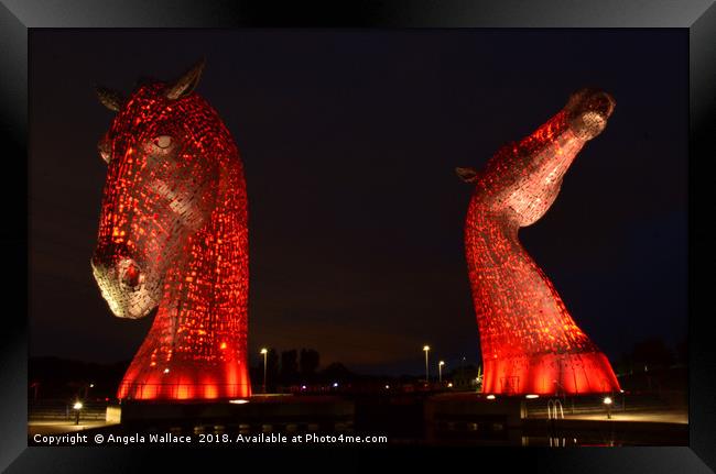 The Kelpies at night Framed Print by Angela Wallace