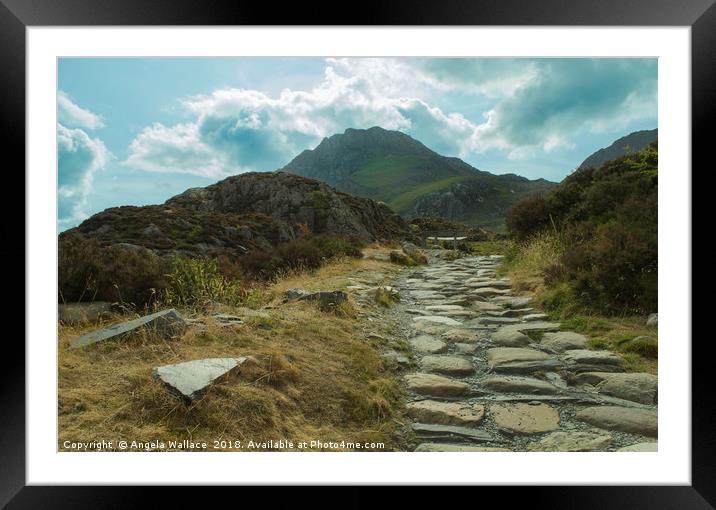 The way up Framed Mounted Print by Angela Wallace