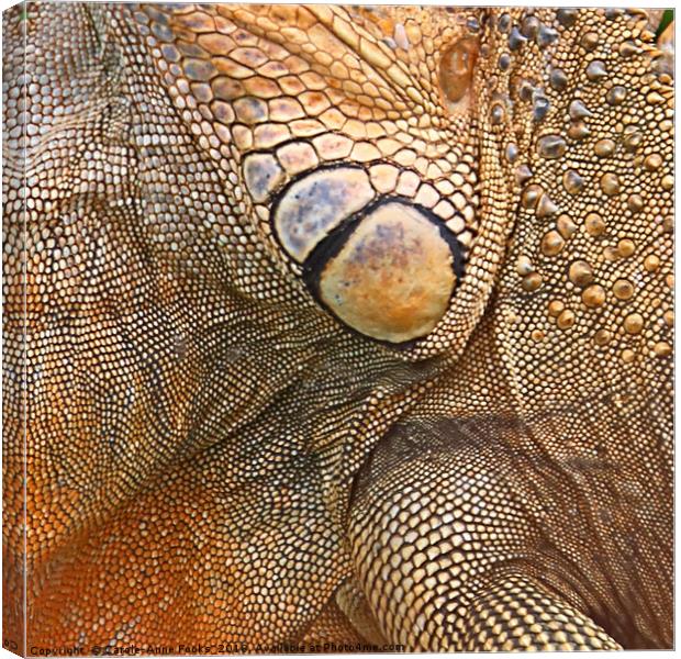 Abstract of Male Green Iguana Skin Canvas Print by Carole-Anne Fooks