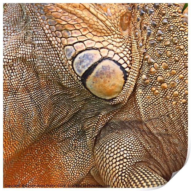 Abstract of Male Green Iguana Skin Print by Carole-Anne Fooks