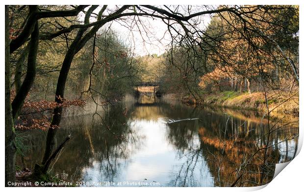 autumn colors in dutch nature Print by Chris Willemsen