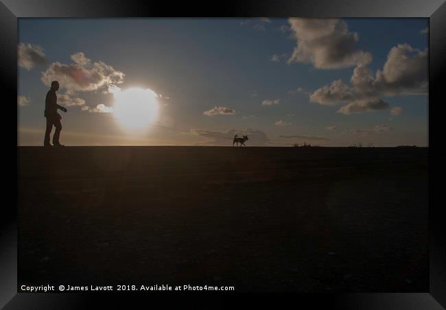 Sunset Hound Framed Print by James Lavott