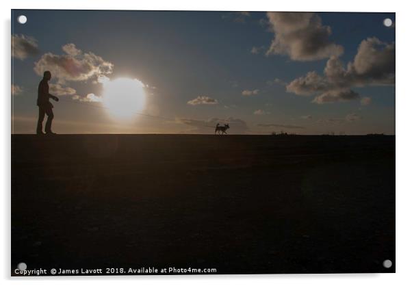 Sunset Hound Acrylic by James Lavott
