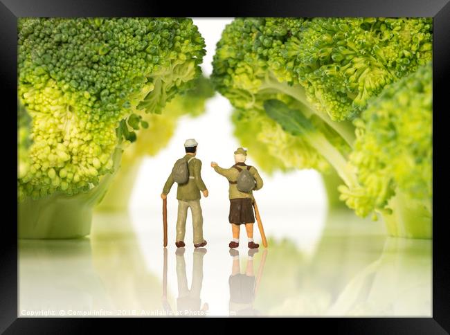 miniature figures walking on broccoli trees  Framed Print by Chris Willemsen