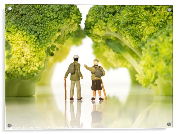 miniature figures walking on broccoli trees  Acrylic by Chris Willemsen