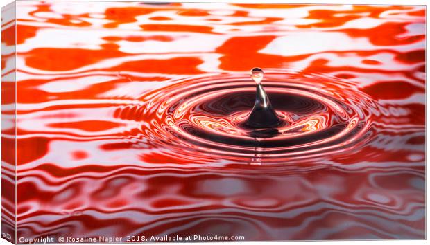 Water droplet on orange rippled background Canvas Print by Rosaline Napier