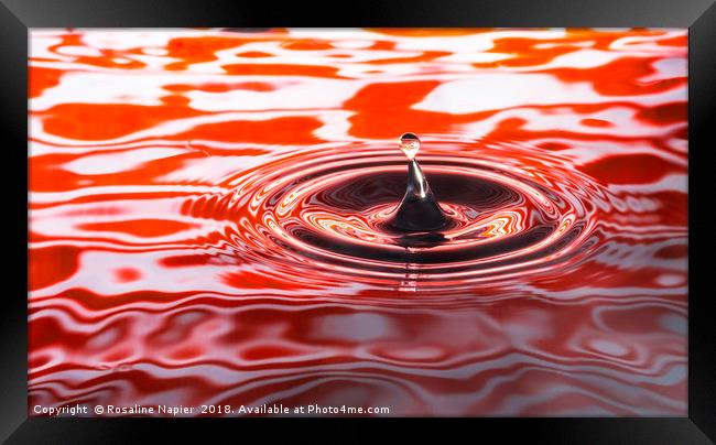 Water droplet on orange rippled background Framed Print by Rosaline Napier