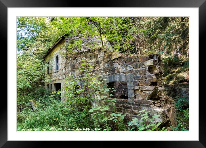 old abandoned building in green forest Framed Mounted Print by Chris Willemsen
