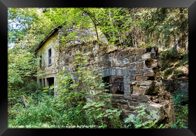 old abandoned building in green forest Framed Print by Chris Willemsen