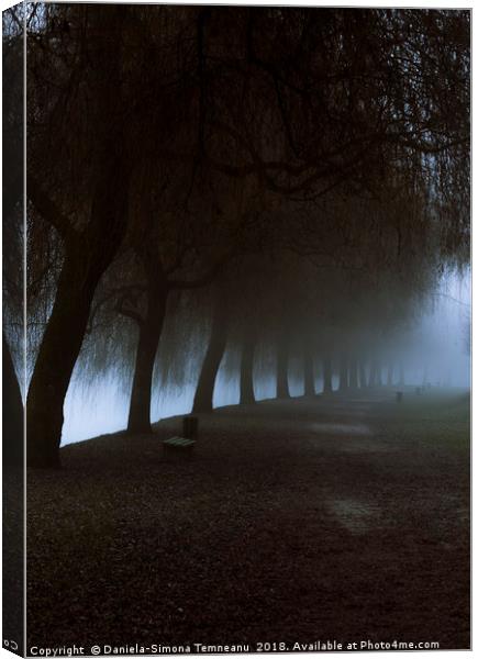 Misty park alley leading to dense fog Canvas Print by Daniela Simona Temneanu