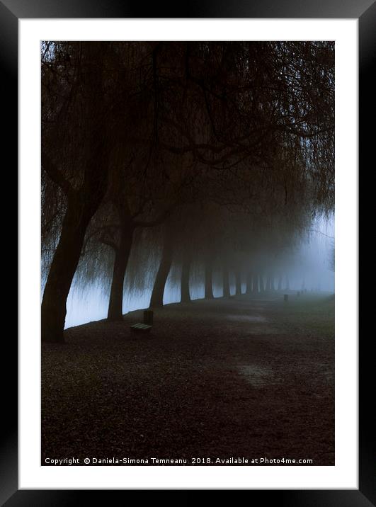 Misty park alley leading to dense fog Framed Mounted Print by Daniela Simona Temneanu