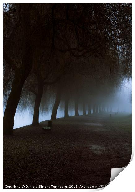 Misty park alley leading to dense fog Print by Daniela Simona Temneanu