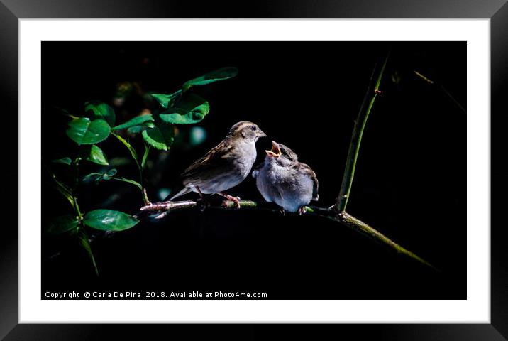 Chirp Me Some Food Framed Mounted Print by Carla De Pina