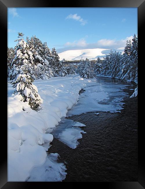 Winter on Cairngorm Mountain Framed Print by Jacqi Elmslie