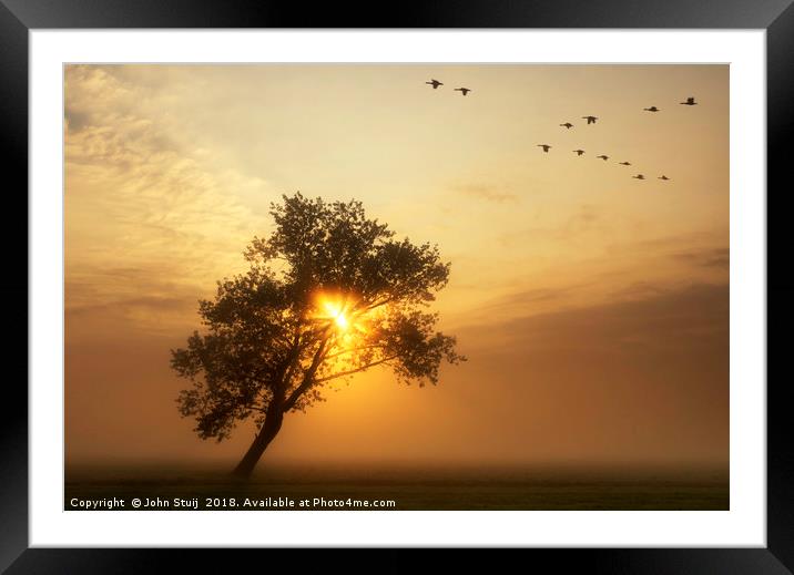 Flying geese above a misty meadow Framed Mounted Print by John Stuij