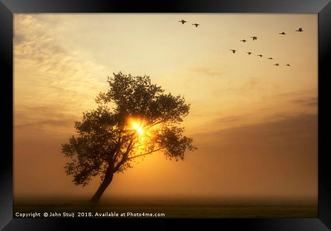 Flying geese above a misty meadow Framed Print by John Stuij