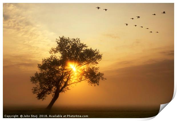 Flying geese above a misty meadow Print by John Stuij