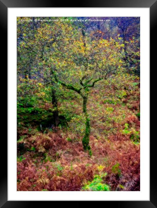 Dreamy Autumn Lake District Tree Framed Mounted Print by Martyn Arnold