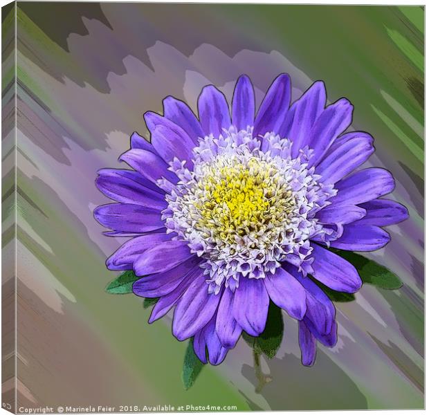 blue violet flower  Canvas Print by Marinela Feier